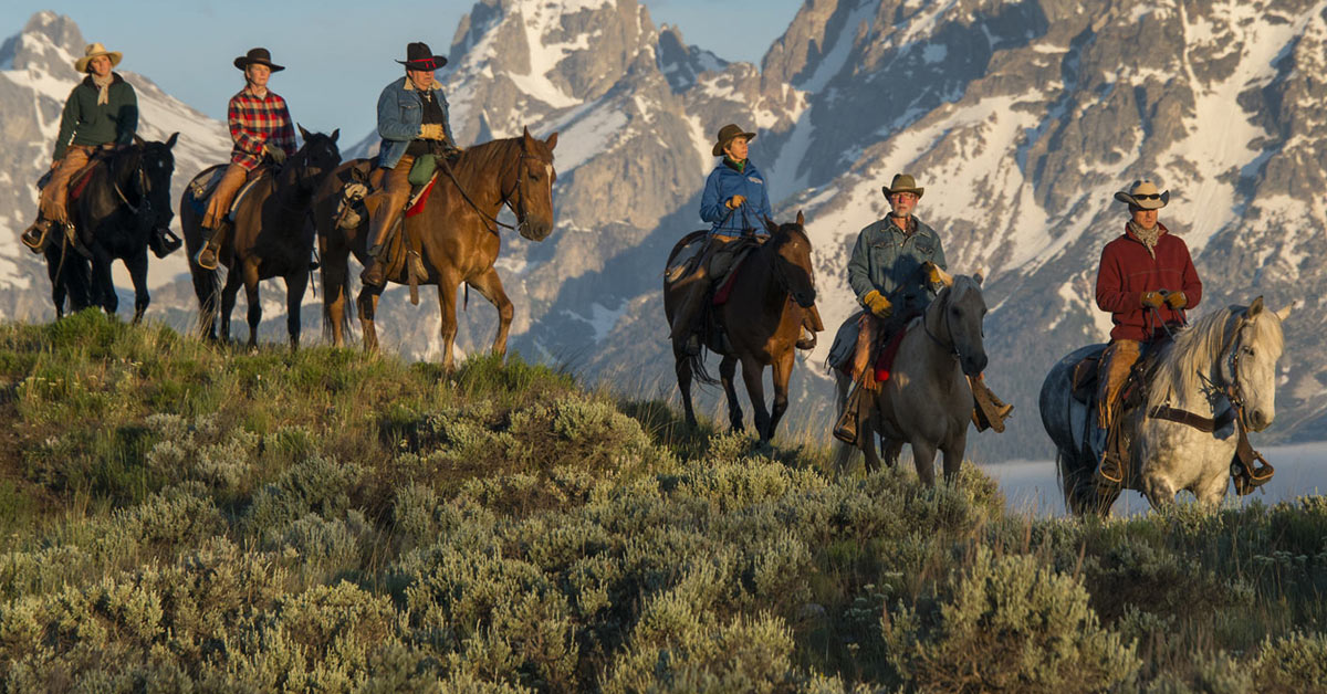 Board of Directors & Senior Team - Dude Ranch Foundation