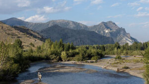 A stream on 7D Ranch land with tall trees and snowcapped mountains off in the distance.