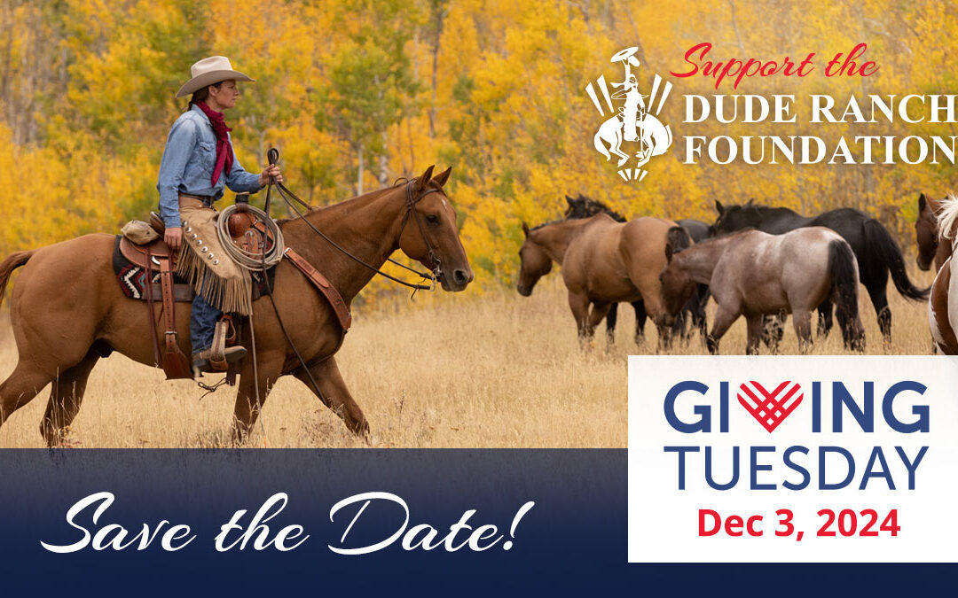 GivingTuesday 2024