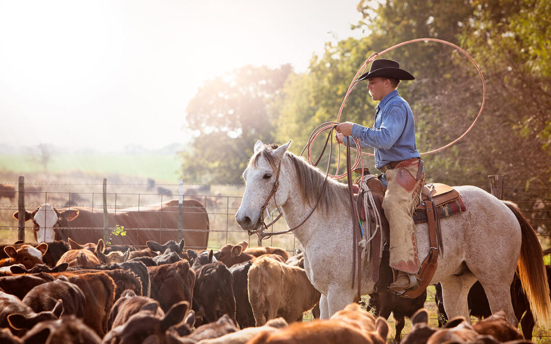 The Dude-Halloo Ranch Edition, June 2025