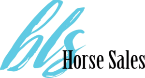 Billings Livestock Horse Sales