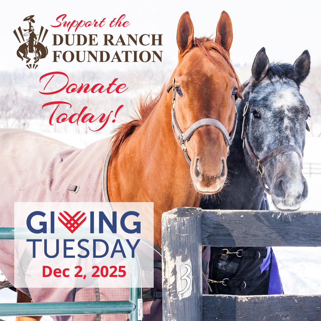 DRF-Instagram-GivingTuesday-2025-Donate-Today